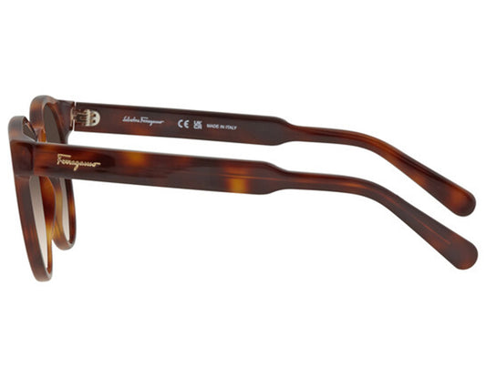 Salvatore Ferragamo SF1068S-240 52mm