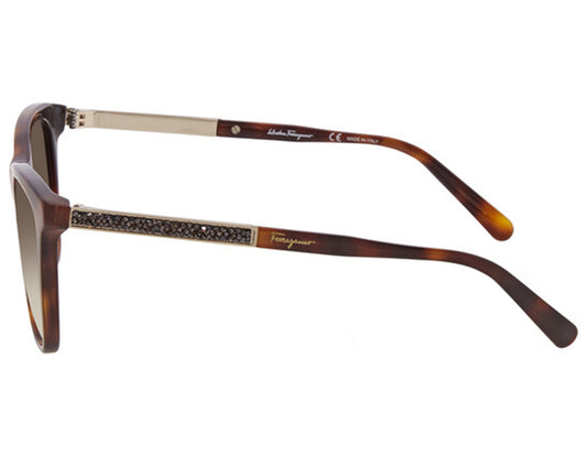 Salvatore Ferragamo SF888SR-214-5317 53mm