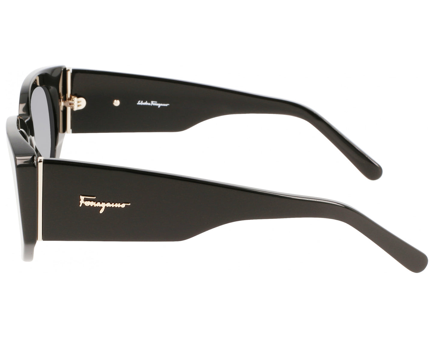 Salvatore Ferragamo SF1053S-001-5219 52mm